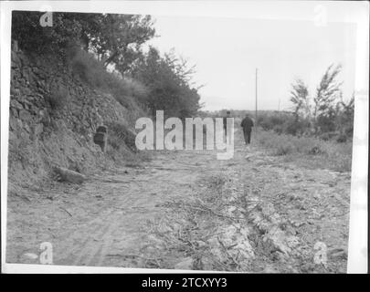 12/31/1964. Camino de Santiago : Pont de la Reina. Crédit : Album / Archivo ABC / Álvaro García Pelayo Banque D'Images