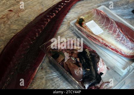 Séville, 06/11/2015. Ponchez et découpez un thon rouge de 200 kilos du piège à Barbate pour le restaurant la Pepona. Photo : Raúl Doblado ARCHSEV. Crédit : Album / Archivo ABC / Raúl Doblado Banque D'Images