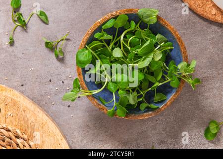 RAW Green Organic Watercress dans un arc, vue de dessus. Banque D'Images