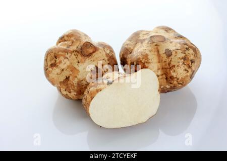 Tranche Jicama isolé sur fond blanc, Bengkoang ou Bengkuang Banque D'Images
