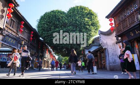 Un banian ressemblant à la forme d'un cœur à Sanfang Qixiang attire les touristes dans la ville de Fuzhou, dans la province du Fujian du sud-est de la Chine, le 14 décembre 2023. Banque D'Images