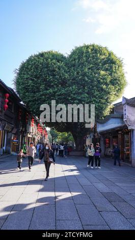 Un banian ressemblant à la forme d'un cœur à Sanfang Qixiang attire les touristes dans la ville de Fuzhou, dans la province du Fujian du sud-est de la Chine, le 14 décembre 2023. Banque D'Images