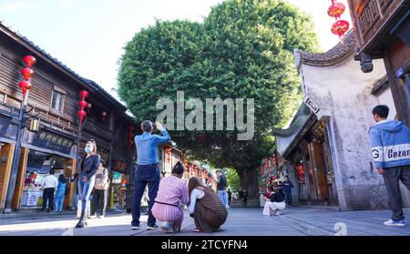 Un banian ressemblant à la forme d'un cœur à Sanfang Qixiang attire les touristes dans la ville de Fuzhou, dans la province du Fujian du sud-est de la Chine, le 14 décembre 2023. Banque D'Images