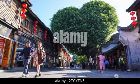 Un banian ressemblant à la forme d'un cœur à Sanfang Qixiang attire les touristes dans la ville de Fuzhou, dans la province du Fujian du sud-est de la Chine, le 14 décembre 2023. Banque D'Images