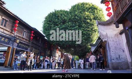 Un banian ressemblant à la forme d'un cœur à Sanfang Qixiang attire les touristes dans la ville de Fuzhou, dans la province du Fujian du sud-est de la Chine, le 14 décembre 2023. Banque D'Images