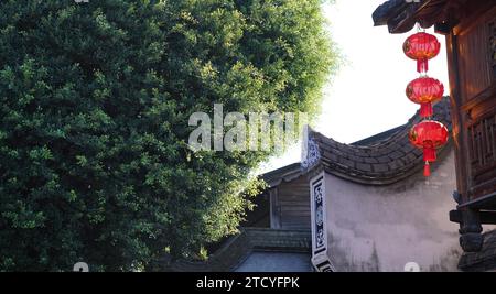 Un banian ressemblant à la forme d'un cœur à Sanfang Qixiang attire les touristes dans la ville de Fuzhou, dans la province du Fujian du sud-est de la Chine, le 14 décembre 2023. Banque D'Images