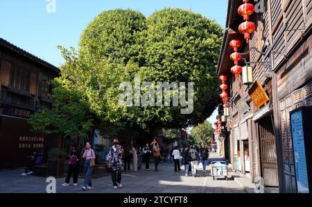 Un banian ressemblant à la forme d'un cœur à Sanfang Qixiang attire les touristes dans la ville de Fuzhou, dans la province du Fujian du sud-est de la Chine, le 14 décembre 2023. Banque D'Images