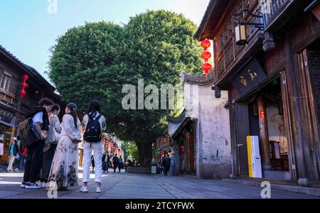 Un banian ressemblant à la forme d'un cœur à Sanfang Qixiang attire les touristes dans la ville de Fuzhou, dans la province du Fujian du sud-est de la Chine, le 14 décembre 2023. Banque D'Images