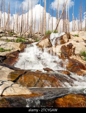 Les eaux en cascade et la repousse définissent le paysage résilient du parc national des montagnes Rocheuses. Banque D'Images