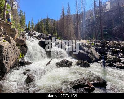 Un randonneur observe la ruée sereine de Cascade Falls au milieu d'une forêt de pins en pleine récupération dans le parc national des montagnes Rocheuses. Banque D'Images