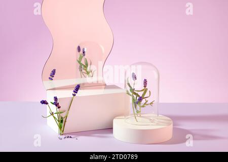 Vue de face de podiums blancs et accessoires décorés de fleurs de lavande sur un fond violet pastel. Espace idéal pour exposer des parfums et des cosmétiques Banque D'Images