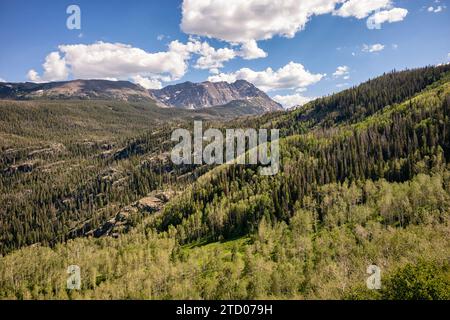 Forêt tranquille avec Eagles Nest en arrière-plan, Colorado Banque D'Images