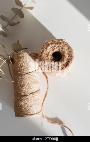 Rouleau de ficelle au soleil avec eucalyptus Banque D'Images