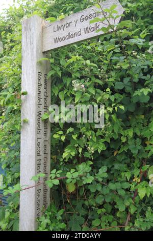 Panneau de sentier en bois bilingue en gallois et en anglais, Woodland Walk, Llwybr y Goedwas, pays de Galles du Nord Banque D'Images