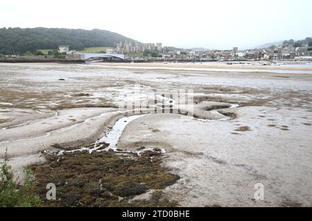 Vue sur la rivière Conwy depuis Deganwy, vers le château de Conwy, Gwynedd, Nord du pays de Galles, Royaume-Uni Banque D'Images