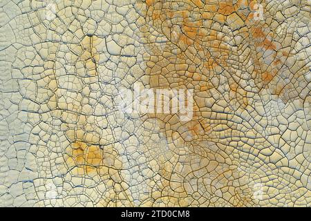 Une photographie aérienne capturant les motifs complexes du sol fissuré à Riotinto, avec une palette de tons chauds et terreux. Banque D'Images