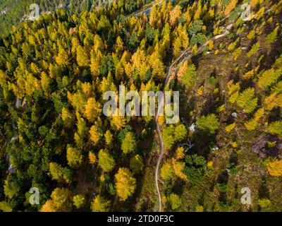 Vue aérienne d'une route serpentine serpentant à travers une forêt d'automne dense au feuillage coloré. Banque D'Images