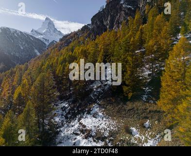 Vue aérienne d'une forêt de montagne luxuriante en automne avec un pic enneigé au loin. Banque D'Images