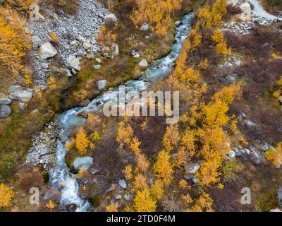 Vue aérienne d'une rivière sinueuse entourée d'arbres automnaux dans un terrain montagneux. Banque D'Images