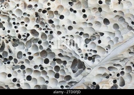 Texture rapprochée de formations rocheuses en nid d'abeille altérées avec des motifs organiques Banque D'Images