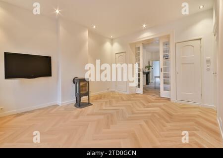 Cheminée et télévision dans un salon spacieux non meublé avec murs blancs et parquet à la maison moderne éclairée Banque D'Images