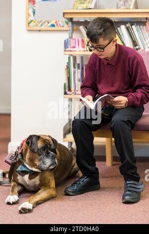 Un jeune étudiant masculin est assis sur le sol de la bibliothèque de l'école lisant un livre au chien d'apprentissage / de thérapie de l'école. Banque D'Images