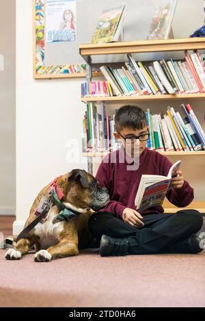 Un jeune étudiant masculin est assis sur le sol de la bibliothèque de l'école lisant un livre au chien d'apprentissage / de thérapie de l'école. Banque D'Images