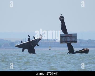 Sheerness, Kent, Royaume-Uni. 15 décembre 2023. [FICHIER photo DES mâts 2023 montrant des changements] Notorious Bomb-ladden naufrage SS Richard Montgomery doit voir son mât enlevé en mars de l'année prochaine comme rapporté par Southend Echo. Le navire d'enquête Thames Guardian a vu terminer les derniers sondages sonar, qui ont déjà révélé que les mâts se sont détériorés davantage que prévu. Crédit : James Bell/Alamy Live News Banque D'Images