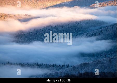 Beau paysage de montagne d'hiver. Coucher de soleil morose vu du mont Smerek dans le parc national de Bieszczady, Pologne. Banque D'Images