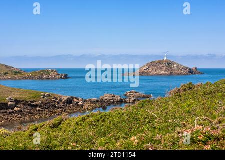 Le phare de Round Island depuis l'île inhabitée voisine de Teän, îles Scilly, Royaume-Uni Banque D'Images