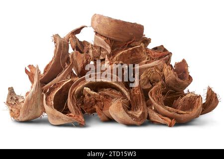 pile de coque de noix de coco séchée ou de coco, fibre naturelle commercialement importante extraite de la coque extérieure du fruit de coco, populaire dans le jardinage, durable Banque D'Images