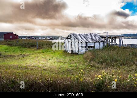 Vieille grille de séchage de morue sur un champ de gaz vert surplombant l'océan Atlantique à Bonavista Terre-Neuve Canada. Banque D'Images