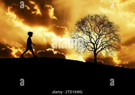 silhouette d'un garçon marchant près d'un arbre au coucher du soleil Banque D'Images