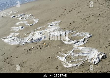 formes et couleurs sur la plage créées à partir de morceaux de plastique Banque D'Images