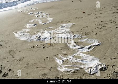 formes et couleurs sur la plage créées à partir de morceaux de plastique Banque D'Images