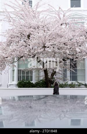 Des fleurs en fleurs sont vues à Londres. Banque D'Images