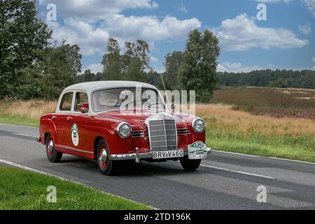 Von 10. Auto-Bild Klassik Hamburg-Berlin vom 24.-26.08.2017 Gemarkung Undeloh in der Lüneburger Heide. Im Foto : Mercedes-Benz 180 BJ.1953 ccm1800 PS65 *** à partir de 10 Auto Bild Klassik Hambourg Berlin à partir de 24 26 08 2017 District Undeloh dans la lande de Lüneburg sur la photo Mercedes Benz 180 BJ 1953 ccm1800 PS65 Banque D'Images