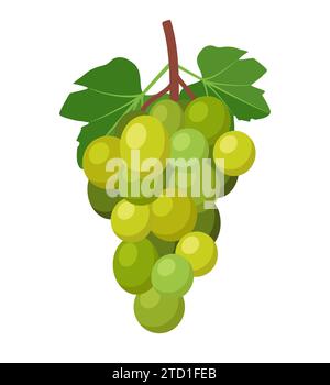 Grappe de raisins verts avec tige et feuille. Illustration vectorielle Illustration de Vecteur