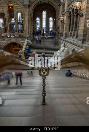 Londres, Royaume-Uni - 01 novembre 2023 - rampe d'escalier en laiton et escalier en pierre dans le hall principal du musée d'histoire naturelle. Hintze Hall avec 'Dippy' le Diplo Banque D'Images