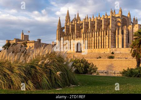 Vue générale de la cathédrale de Palma de Majorque au coucher du soleil par une journée ensoleillée d'hiver. Île de Majorque, Espagne Banque D'Images