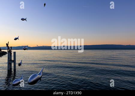 ©PHOTOPQR/LE DAUPHINE/Grégory YETCHMENIZA ; Evian-les-bains ; 15/12/2023 ; Evian-les-bains, le 15 décembre 2023. Chaine hiver, les flottins et flottines investivent leur village tout de bois flotté apporté par les eaux. Le petit peuple flottant arrive sur les quais après avoir navigué jusqu’à Evian. Photo : Grégory Yetchmeniza / le Dauphiné libéré Evian les bains, France, 15 décembre 2023. L'imagination de Noël d'Evian chaque hiver, les flottins et flottines investissent entièrement leur village avec du bois flotté apporté par les eaux. Le petit peuple Flottin arrive sur les quais après avoir navigué Banque D'Images