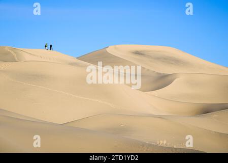 Photographes à Eureka Dunes, dans le parc national de la Vallée de la mort, en Californie. Banque D'Images