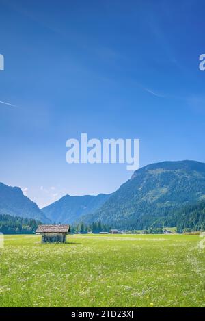 Le paysage autour de Gosau avec des montagnes à Salzkammergut, Autriche. Banque D'Images