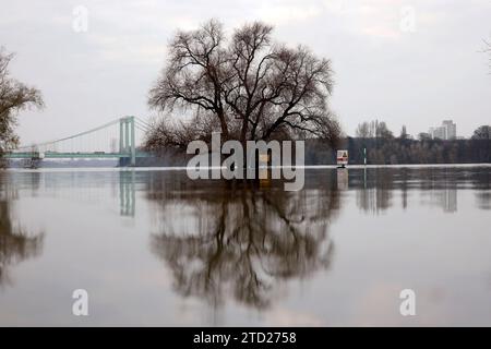 Impression vom Hochwasser in Köln am Ufer von Köln-Rodenkirchen : Am Ufer des Rhein sind Spielplätze, Gehwege und Wiesen überflutet. Absperrungen weisen auf Hochwasser Hin. Themenbild, Symbolbild Köln, 15.12.2023 NRW Deutschland *** impression de l'inondation à Cologne sur les rives de Cologne Rodenkirchen les aires de jeux, les sentiers et les prairies sont inondés sur les rives du Rhin les barrières indiquent l'inondation image thématique, image symbolique Cologne, 15 12 2023 NRW Allemagne Copyright : xChristophxHardtx Banque D'Images