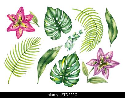 Ensemble tropical aquarelle. Feuilles tropicales et lys isolés sur fond blanc. Plantes dessinées à la main pour la conception de cartes, bouquets, textiles, fabri Banque D'Images