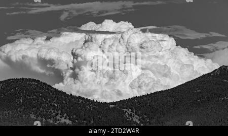 Thunderhead construit sur Rocky Mountain Valley en noir et blanc Banque D'Images