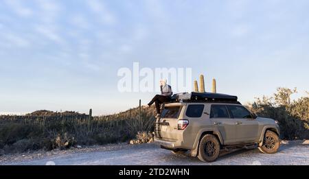 Tucson, États-Unis : 22 janvier 2023 : Watching the Sun Fade on A Cool Evening in Saguaro Banque D'Images