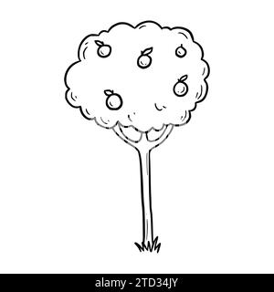 Arbre fruitier dessiné à la main. Style d'esquisse Doodle. Icône d'arborescence de ligne de dessin. Illustration vectorielle isolée. Illustration de Vecteur