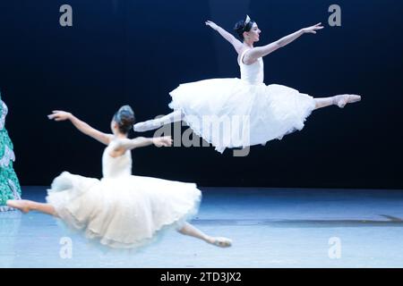 (231216) -- MEXICO, 16 déc. 2023 (Xinhua) -- des danseurs de la Compagnie nationale de danse du Mexique interprètent « The casse-noisette » à l'Auditorium national de Mexico, Mexique, le 15 décembre 2023. (Photo de Francisco Canedo/Xinhua) Banque D'Images