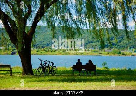 Séoul, Corée du Sud - 1 octobre 2023 : deux cyclistes se détendent sur un banc de parc sous un saule, avec leurs vélos à côté d'eux et la rivière Han dans la ba Banque D'Images